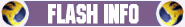 flash_info